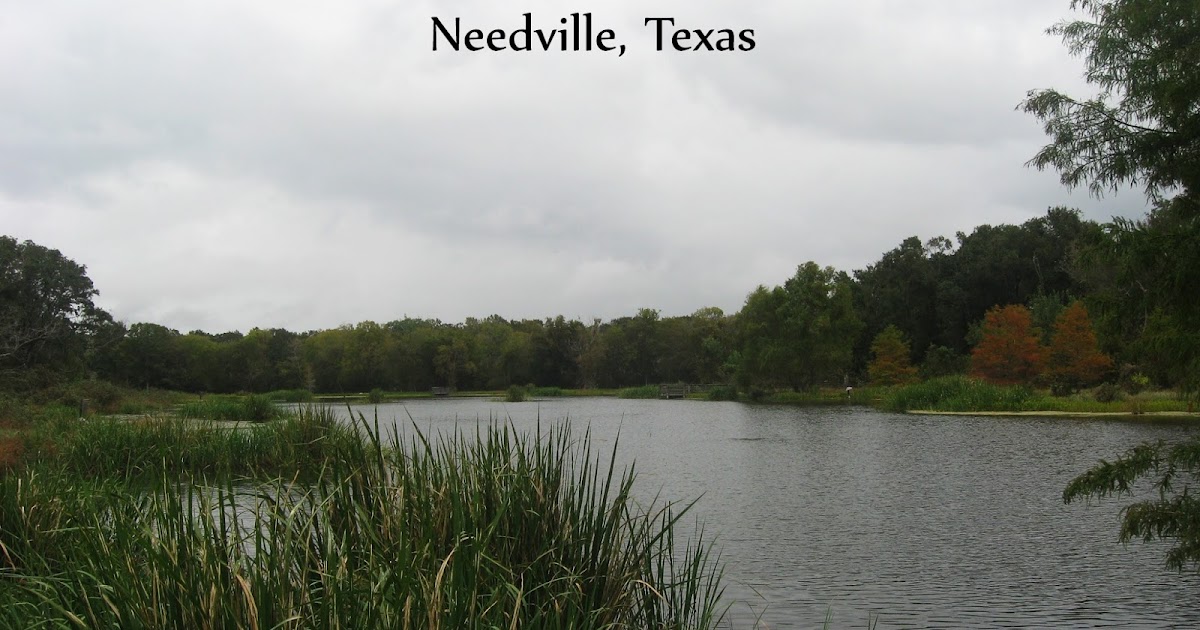 51 Cent Adventures Brazos Bend State Park Needville, Texas