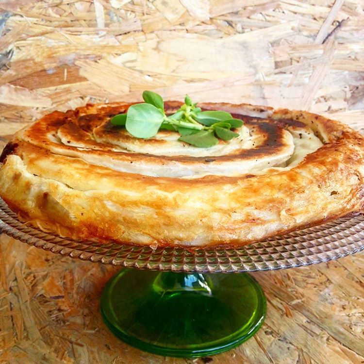 TAVADA KOLAY BÖREK / Belgin Binici Tarifleri