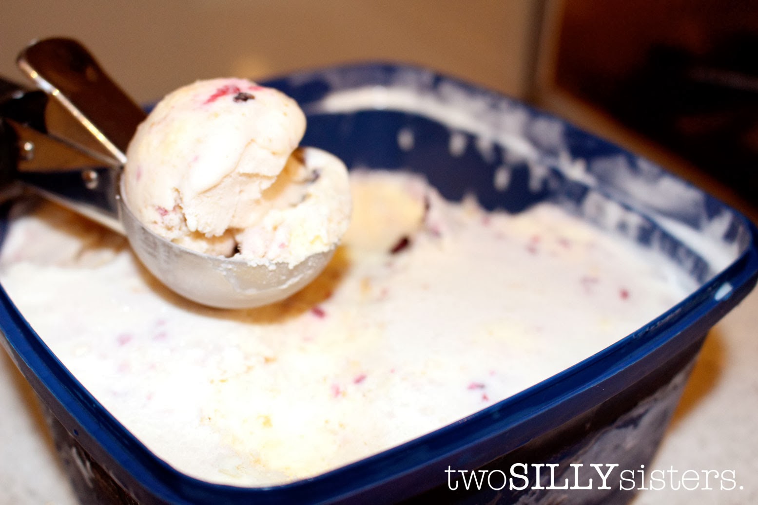 Two Silly Sisters 1,000 Likes And A Gluten Free IceCream Recipe!