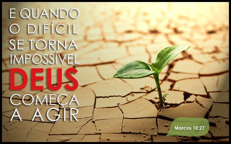 rosas no jardim de deus: na bíblia durante os anos de ministério de jesus cristo houve rosas no jardim de deus: na bíblia durante os anos de ministério de jesus cristo houve