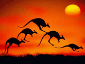 Excel Markets ECN Forex Broker Excel Markets ECN Forex Broker