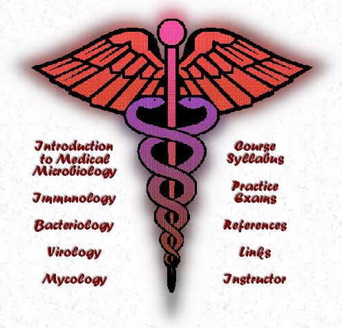Masters thesis microbiology
