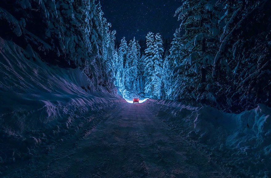mysterious forests around the world-2 mysterious forests around the world-2