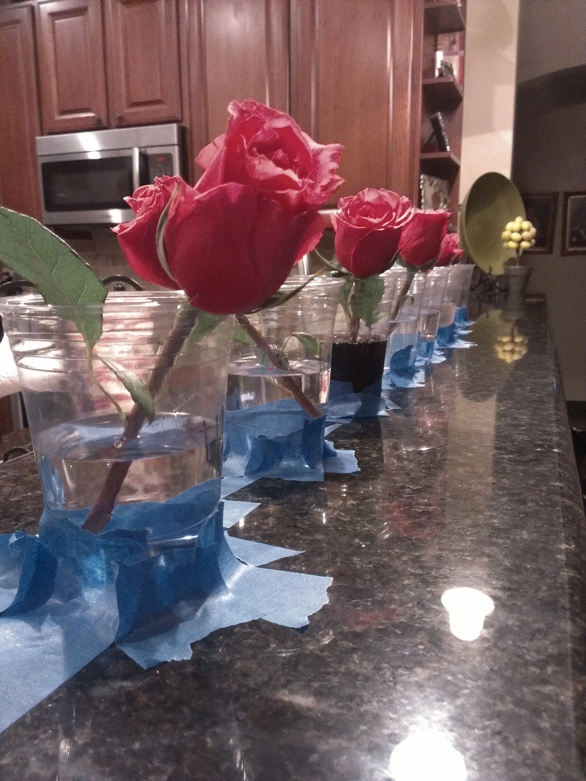 Pardon My Perspective: Middle School Science Fair Project