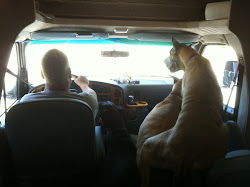Why I'm riding in the "back seat"...