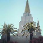 I love to see the temple!