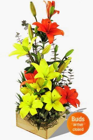 Flowers Basket delivery in Sudan Flowers Basket delivery in Sudan