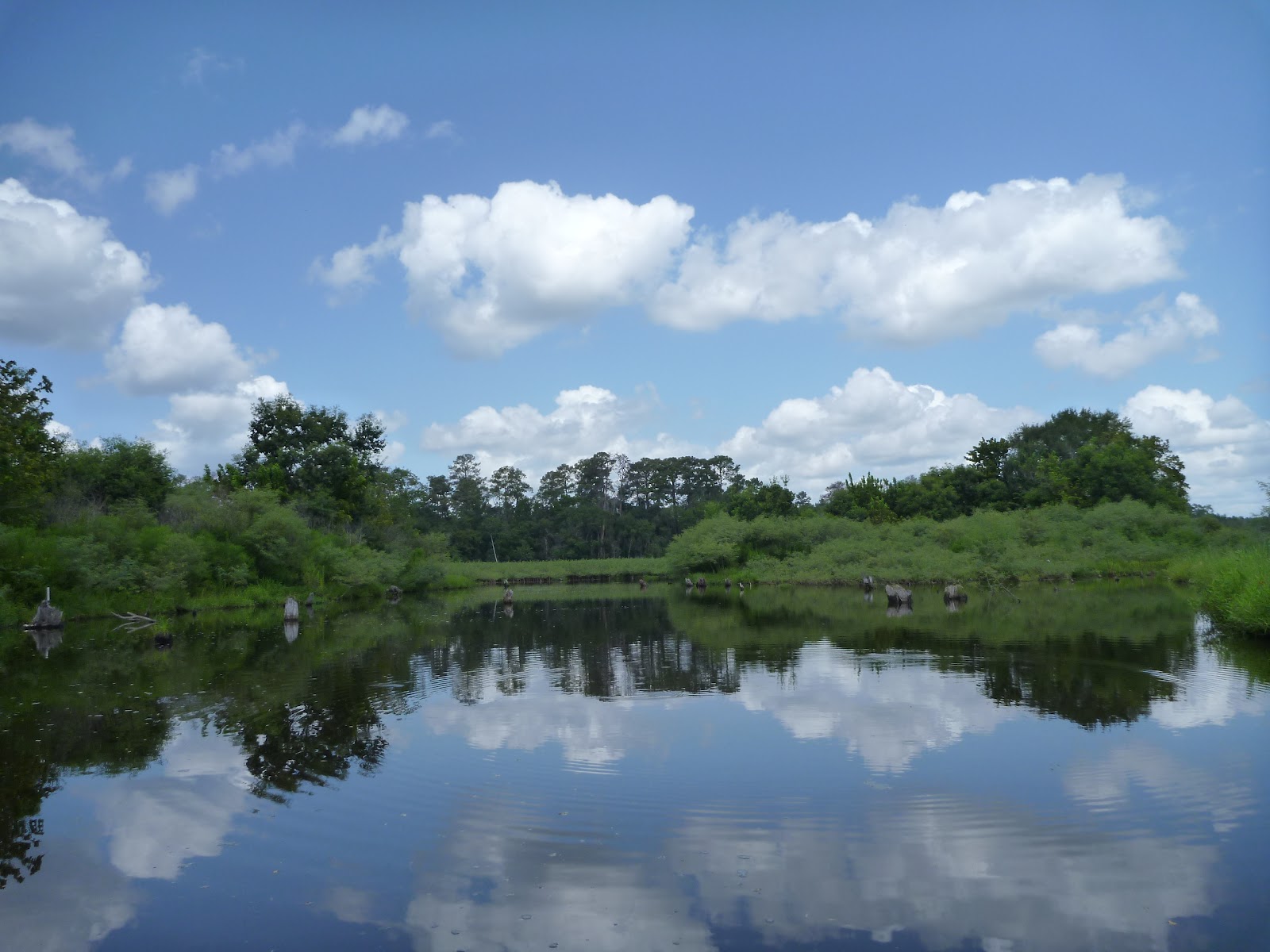 Nature's heart Lake Conroe A Visit To Wildwood Shores