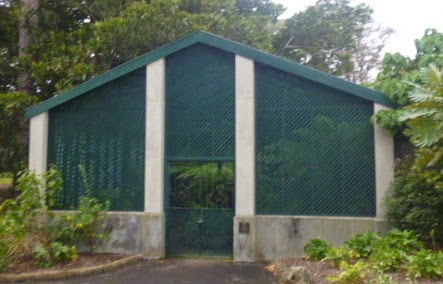 Glass house