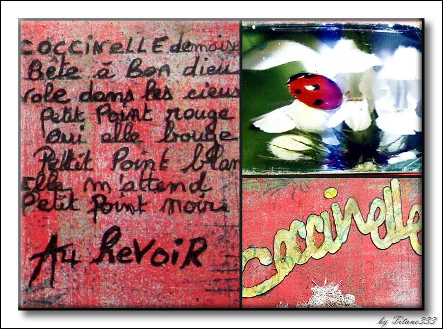 ScrapTitane333: Ronde d'amitié, Circle journal