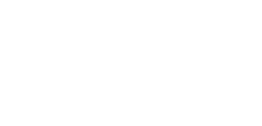 INIJOVEM - Nisa