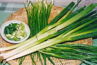 khasiat bawang bakung