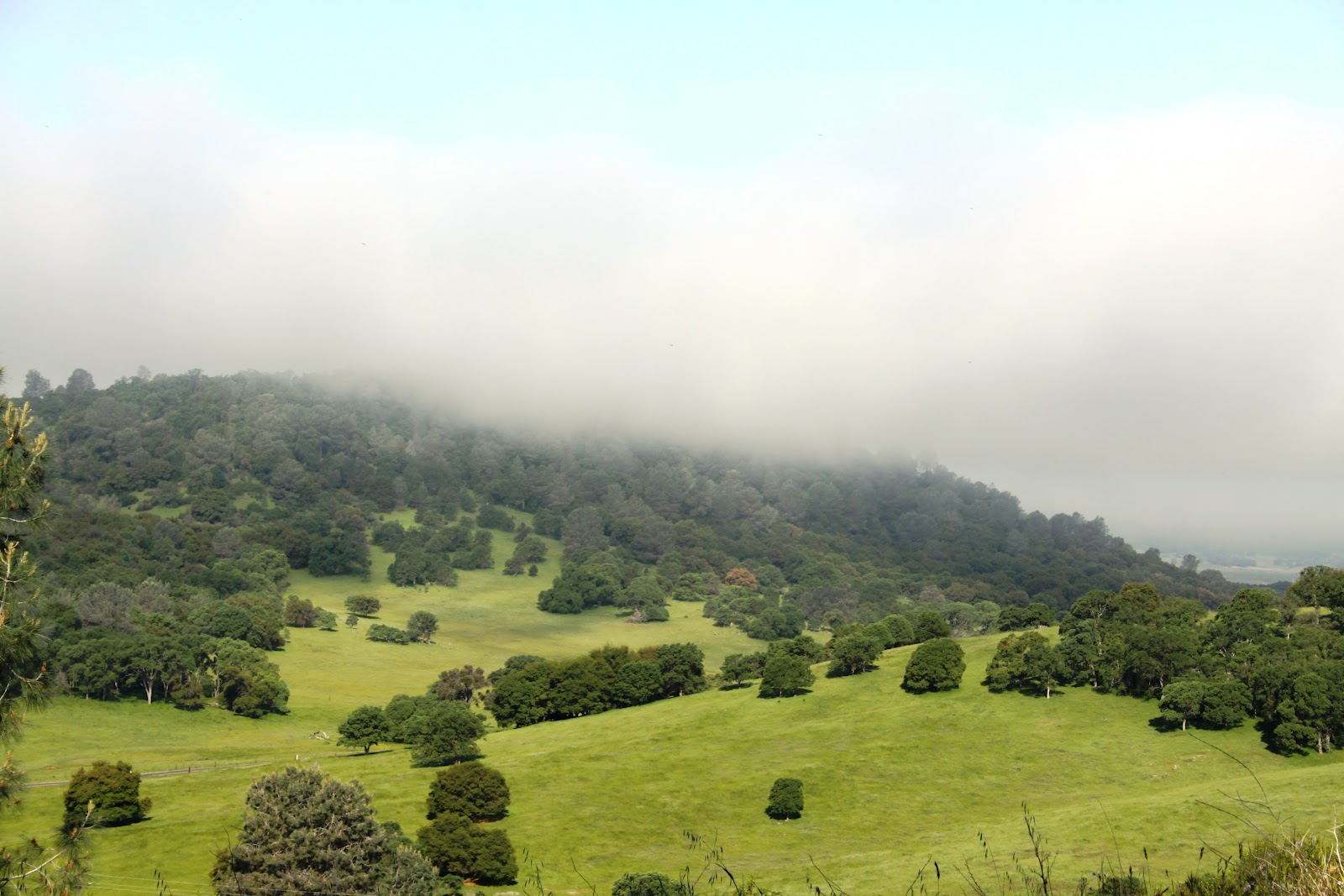 Copper Gazette Copperopolis' Emerald Hills