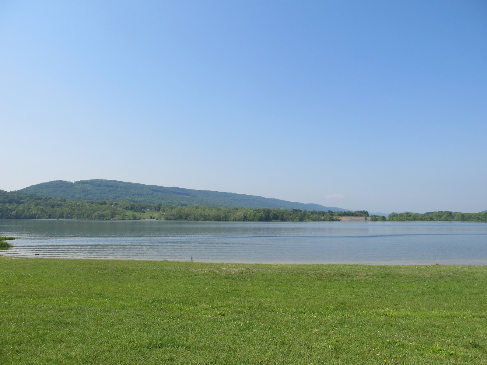 Charlie The Cavalier : Beautiful Day at the Park- Bald Eagle State Park