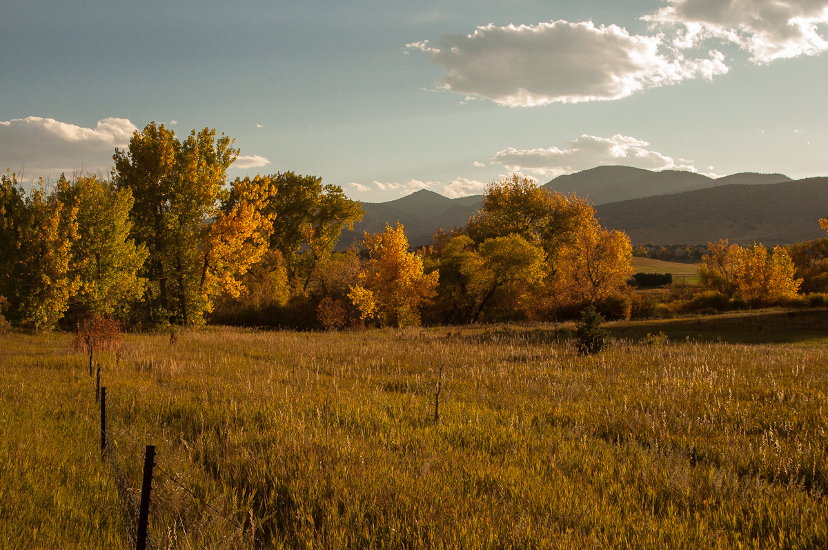 A Tree Falling Denver Botanic Gardens at Chatfield October 2012