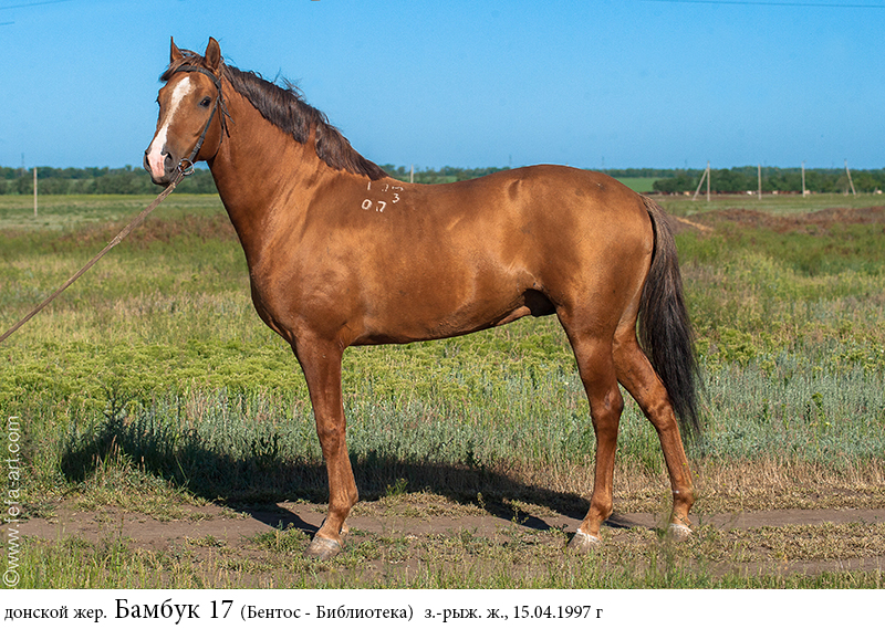 YY0P1568-3.jpg