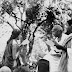 Should India Allow Freedom To Decry Gandhiji And Praise Godse ?
