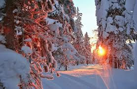 ”Kashmir