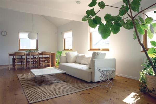 Popular Home Interior Design Sponge 2012 05 20