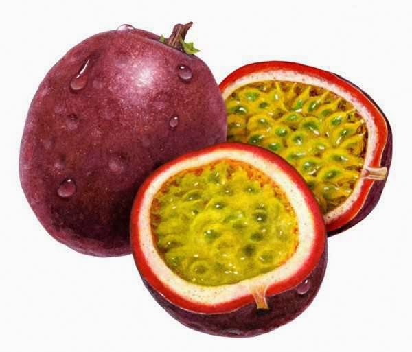 Manfaat Buah Markisa Manfaat Buah Markisa Untuk Kesehatan Dan Kecantikan