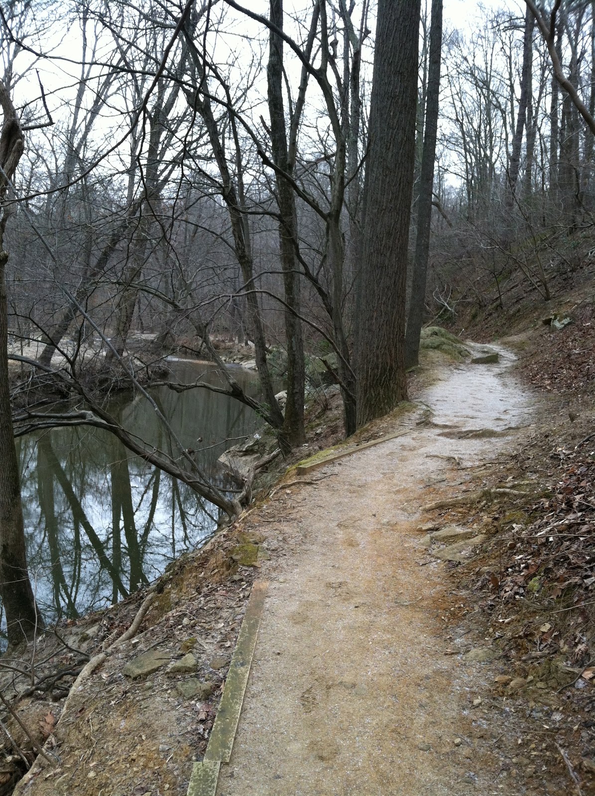 Single Tracks Rock Creek Park Washington DC
