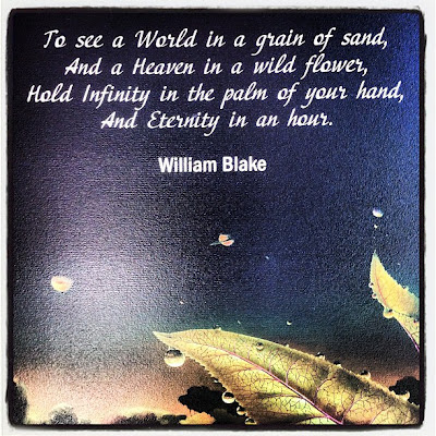 Embracing Diversity through Compassion Embracing Diversity through Compassion