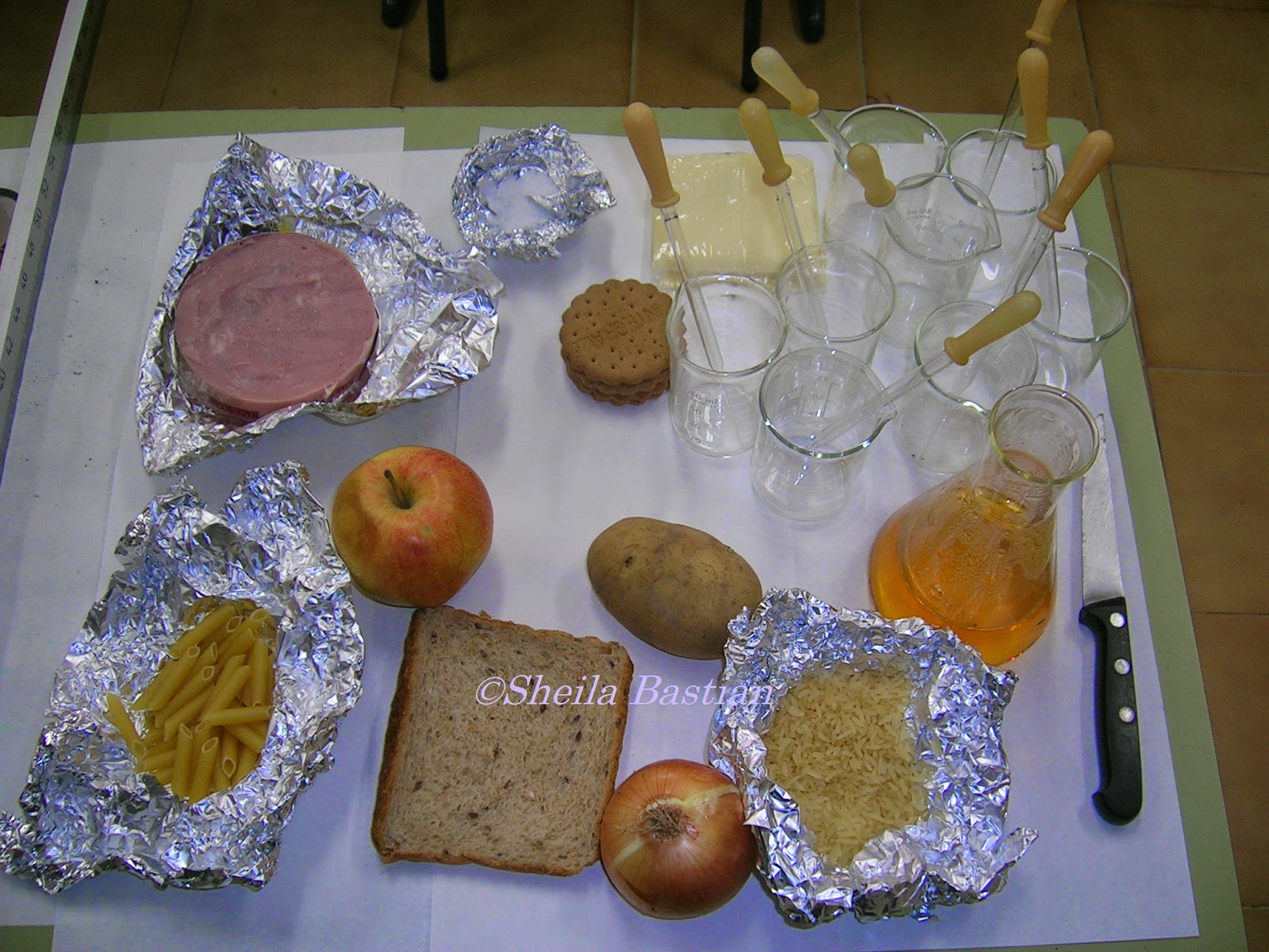 Science Magazine WHAT FOODS CONTAIN STARCH?