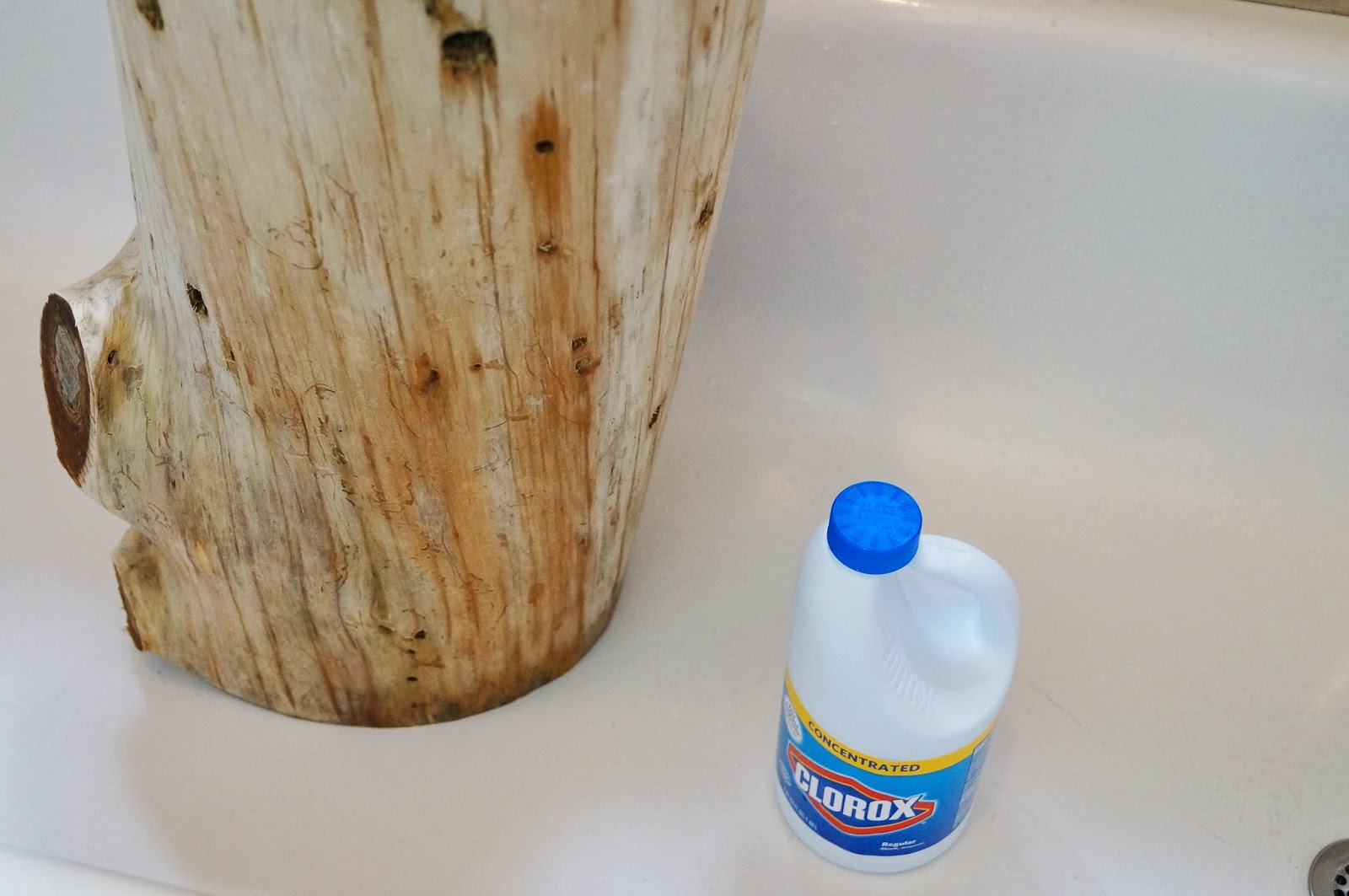 Don't Disturb This Groove Bleached TreeStump Tables