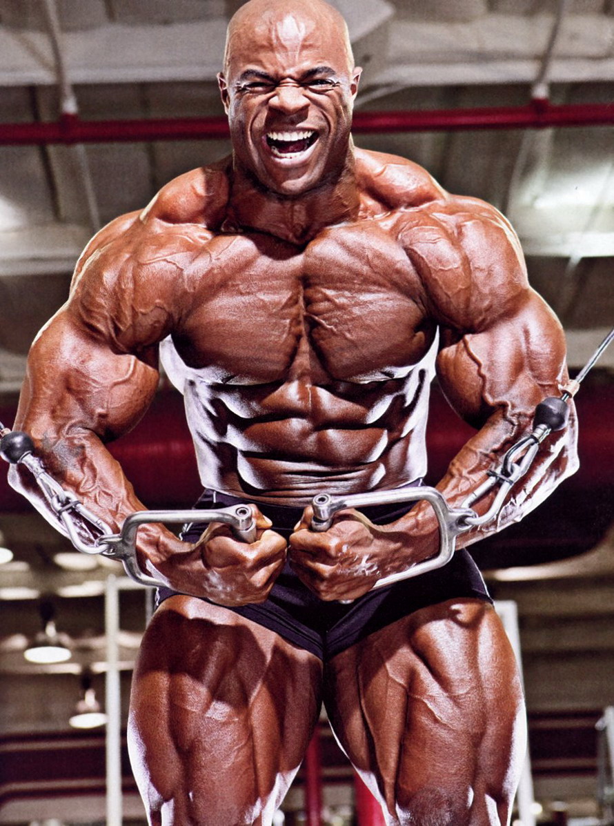 SEARCH AND BUY THIS PRODUCT six star muscle: Edward Nunn