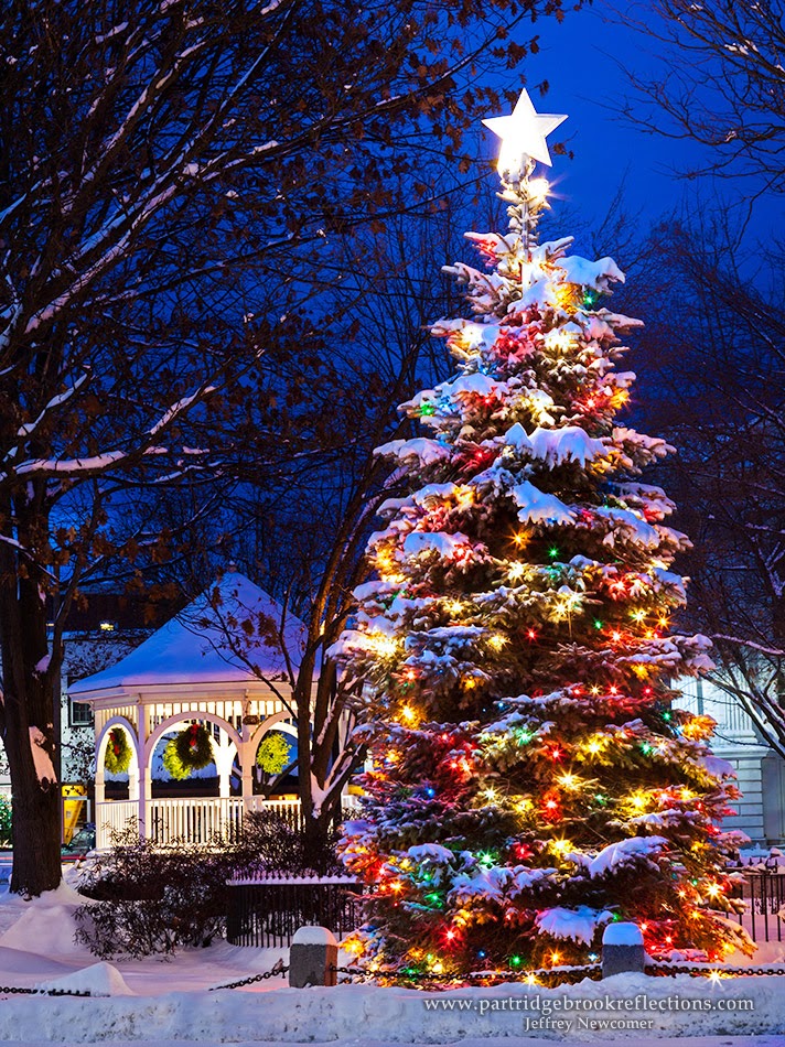 getting it right in the digital camera december 2013 christmas tree farm nh
