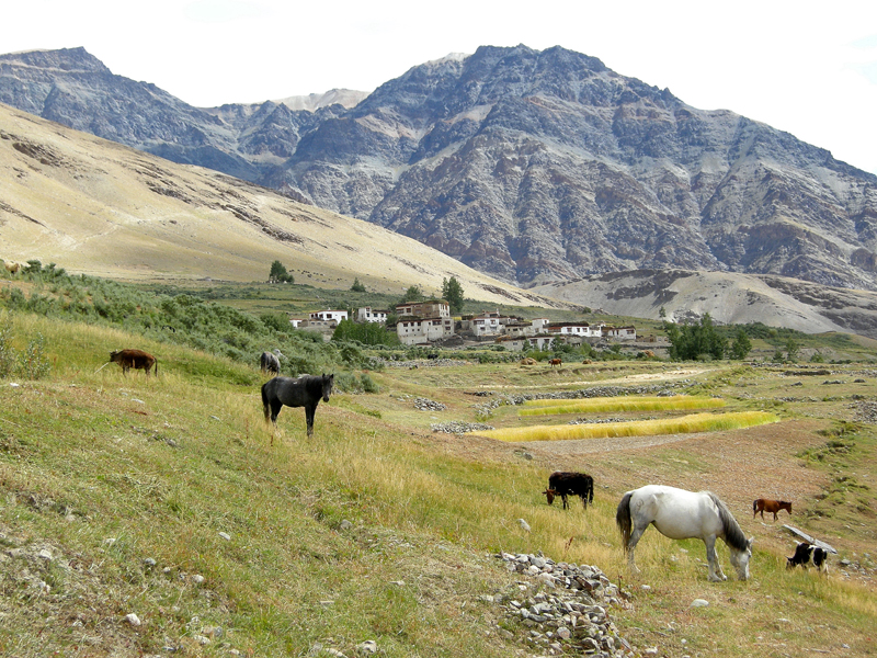 rencontre au bout du monde zanskar