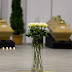 Remains of German victims of Istanbul attack flown home
