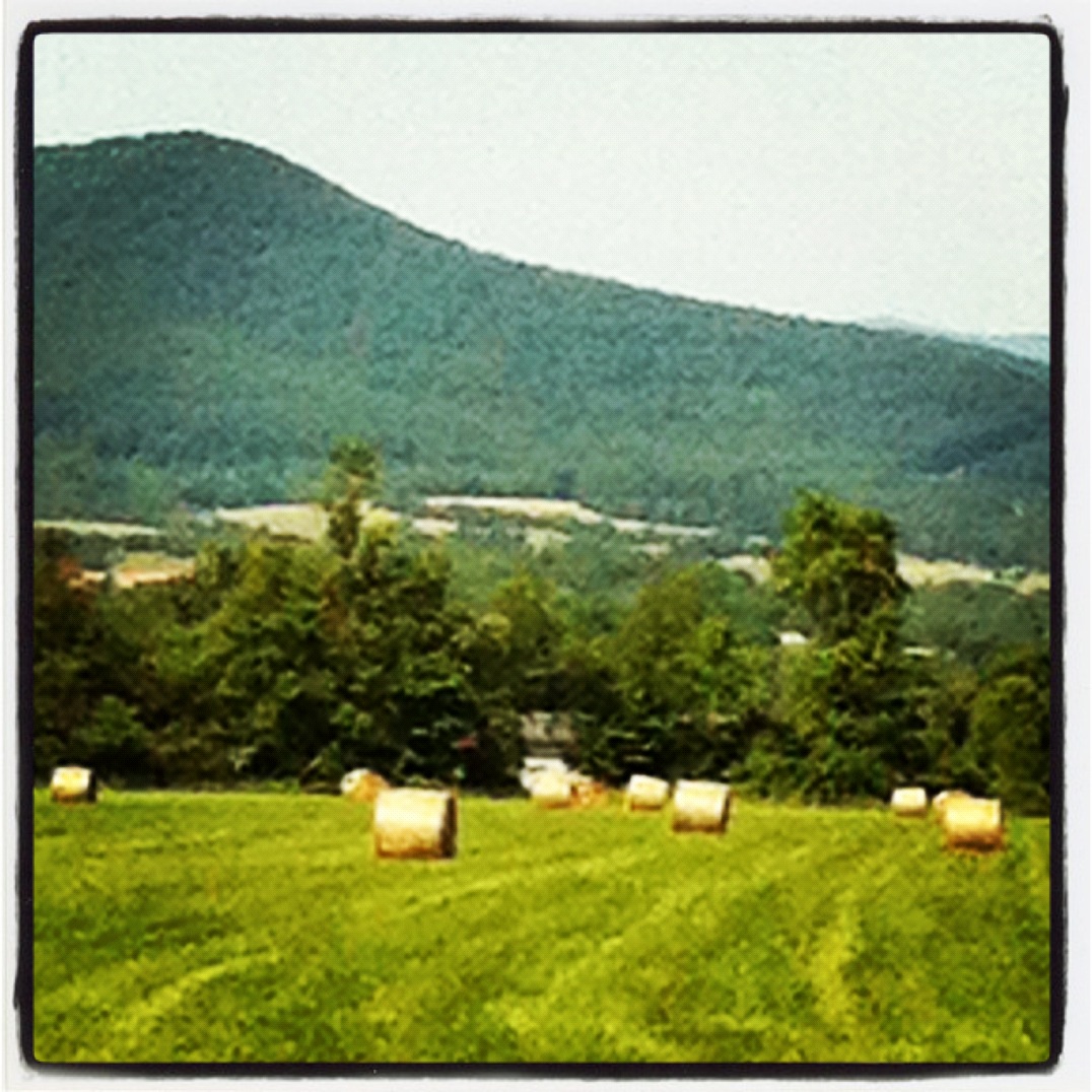 Hawksbill Cabin The Hay Fields and Pastures