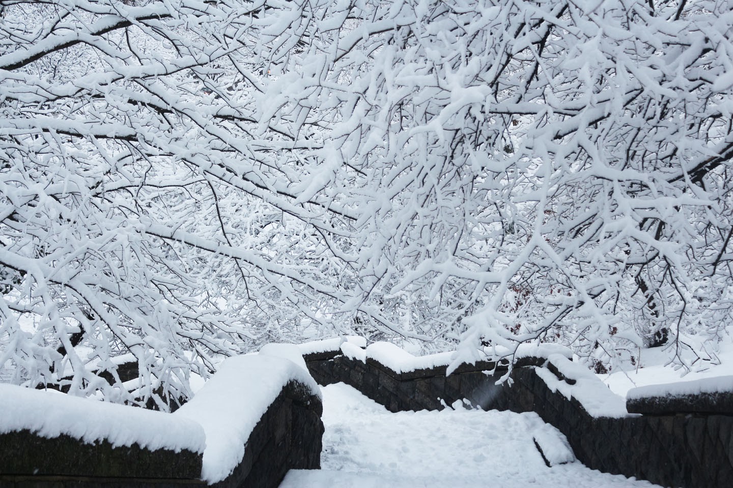 Just walk on by brent staples summary image