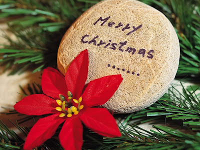 Free Desktop Background Wallpapers: Beautiful Christmas Flowers Wallpapers