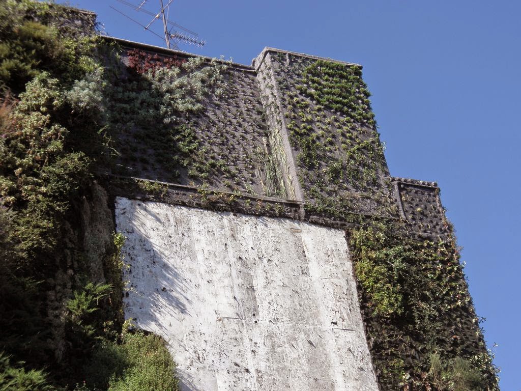 Renovación en el Jardín vertical del Caixa Forum : Jardines verticales