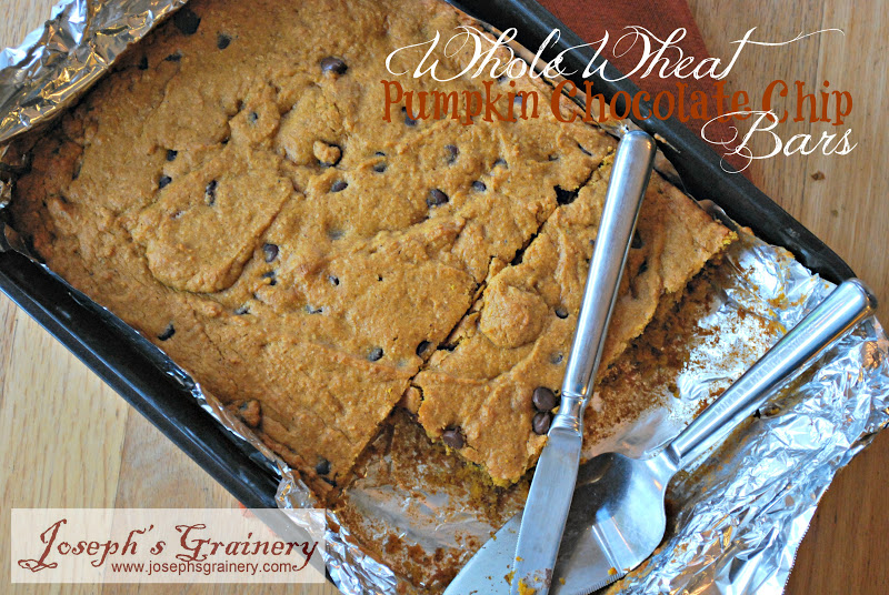 Joseph's Grainery Whole Wheat Pumpkin Chocolate Chip Bars