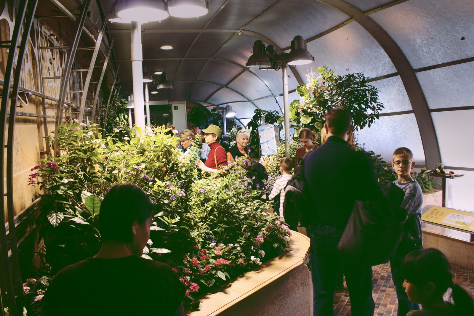 The Fun smithsonian butterfly pavilion