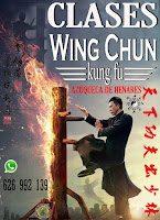 Wing Chun en Azuqueca de Henares Clases y Cursos