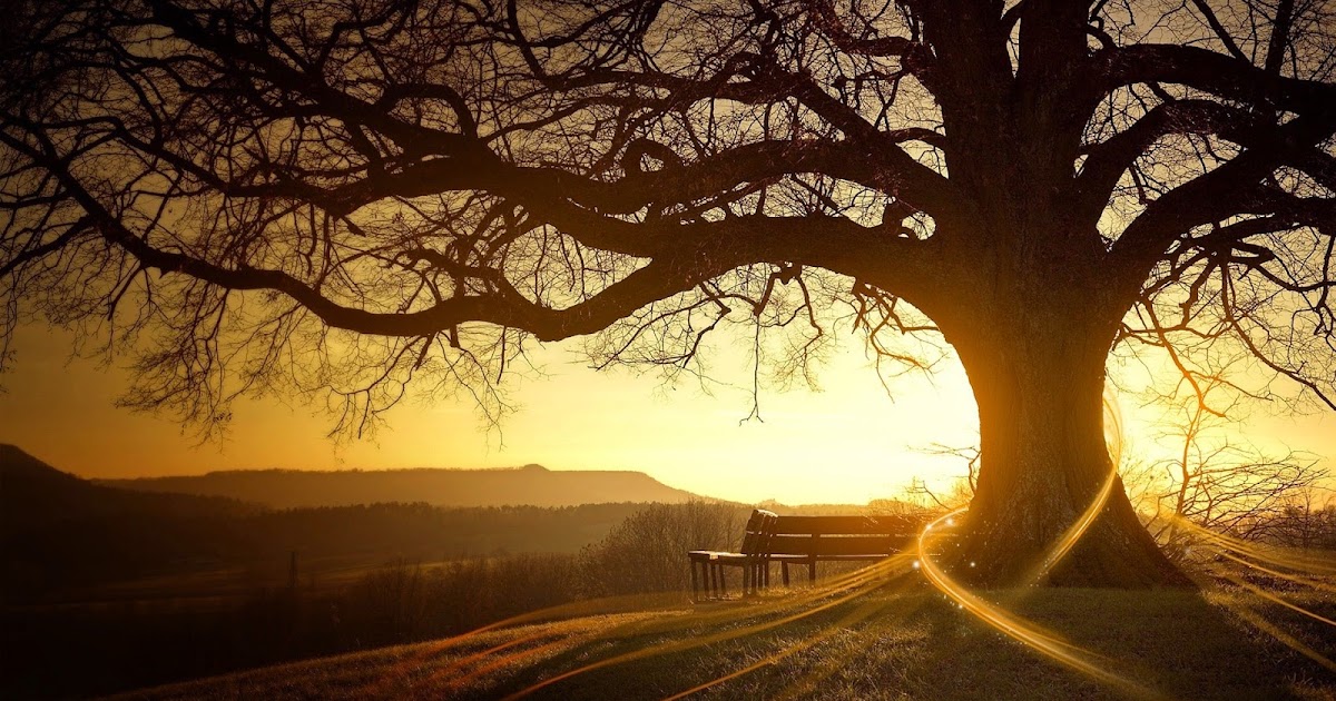 What’s a decent age to die?