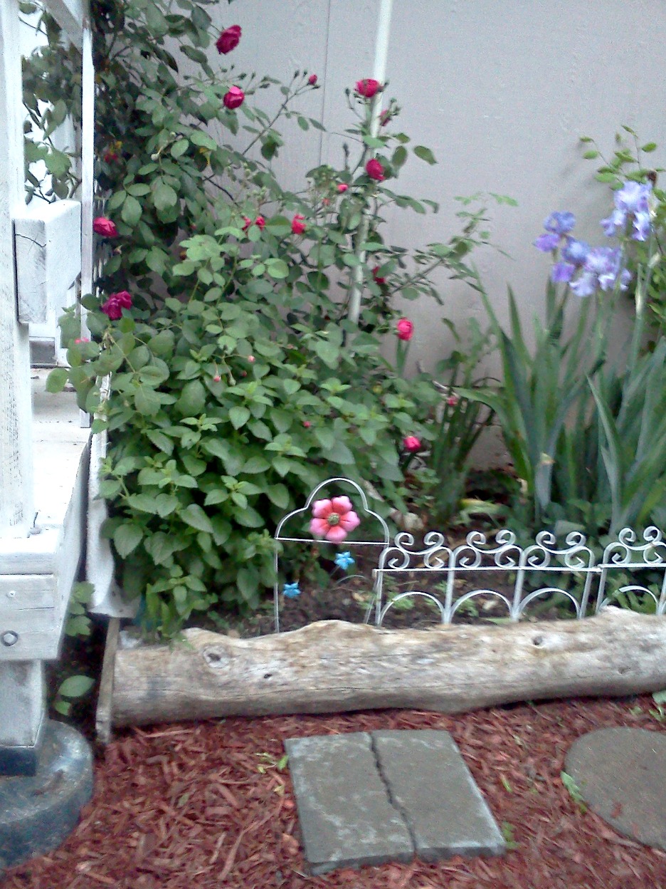 Planting The Chic In Cheap s home shabby chic garden project part ii Planting The Chic In Cheap s home shabby chic garden project part ii