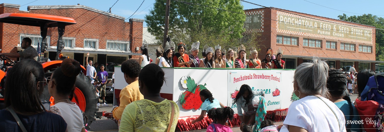 Ponchatoula Strawberry Festival A Berry Good Time! A Very Sweet Blog