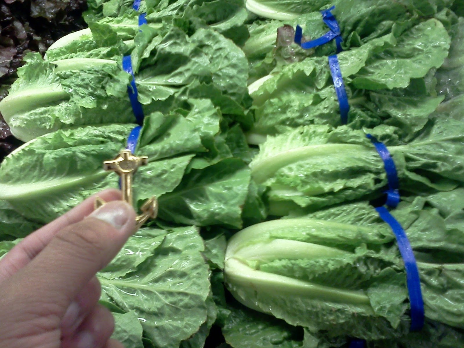 JHS AP Biology Big Idea 2 Biological systems utilize