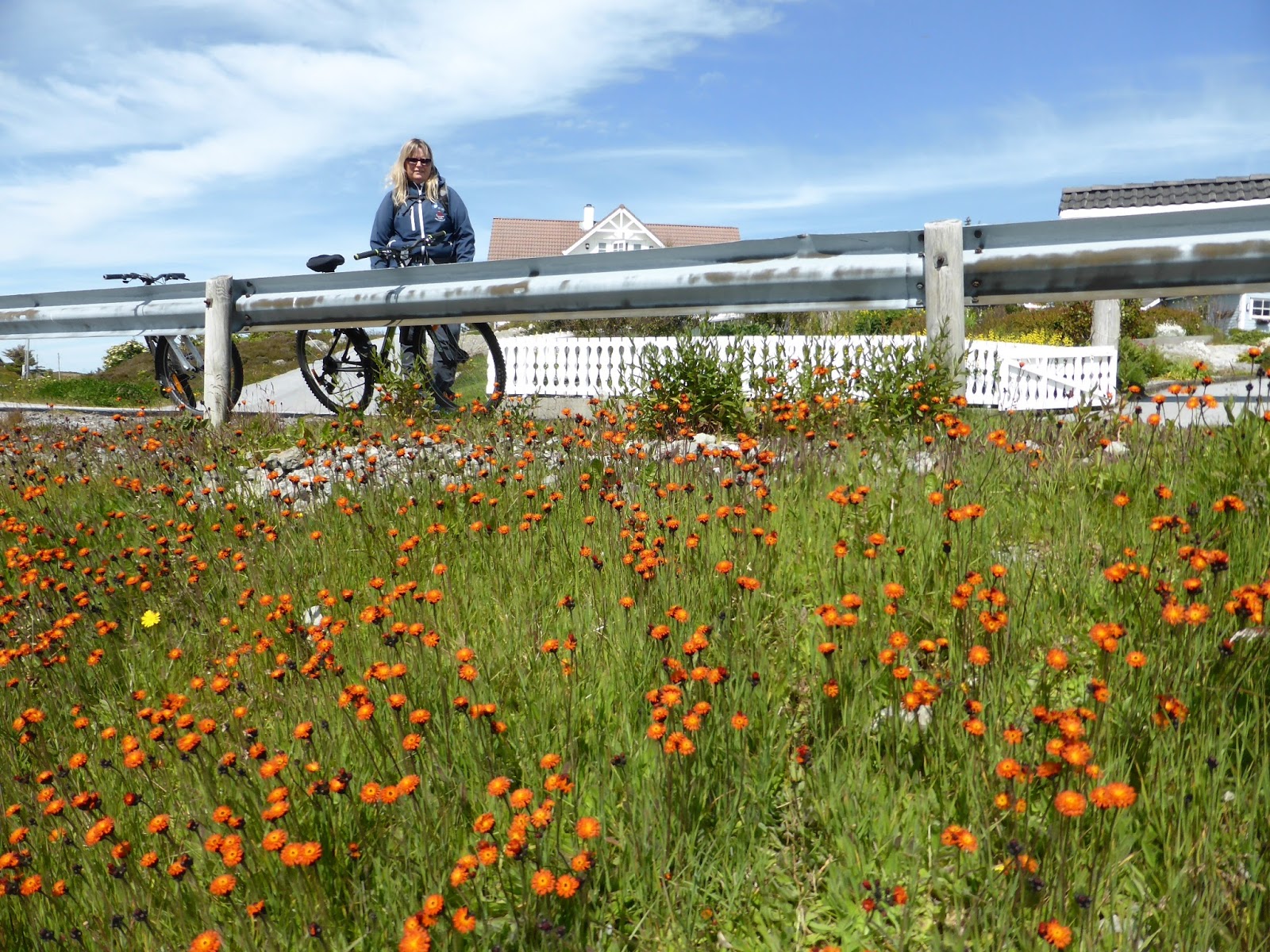 forslag til date Florø forslag til date Florø