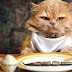 10 alimentos peligrosos para tu gato