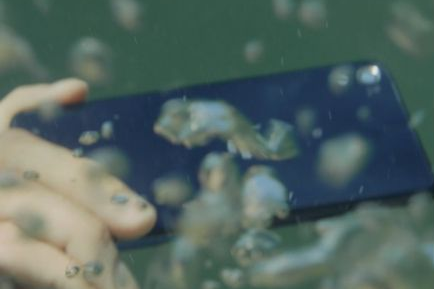 merekam gambar di dalam air menggunakan Sony Xperia Z3v Terbaru harga smartphone terbaru Sony Xperia Z3v Terbaru