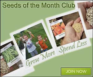 Seeds of the Month