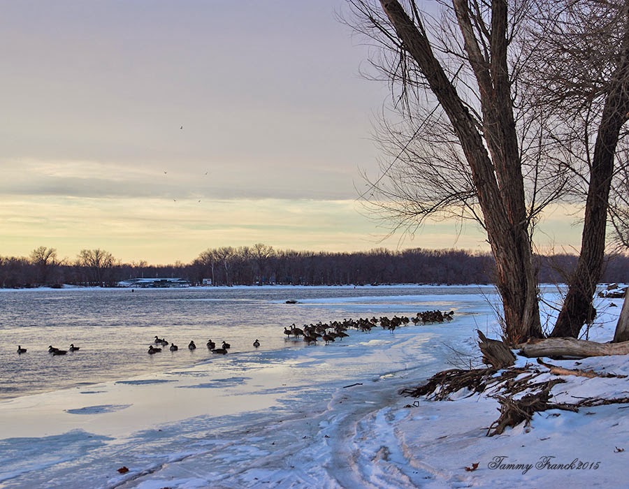 Rock River Stitches Primitive Easter Bunny *New*