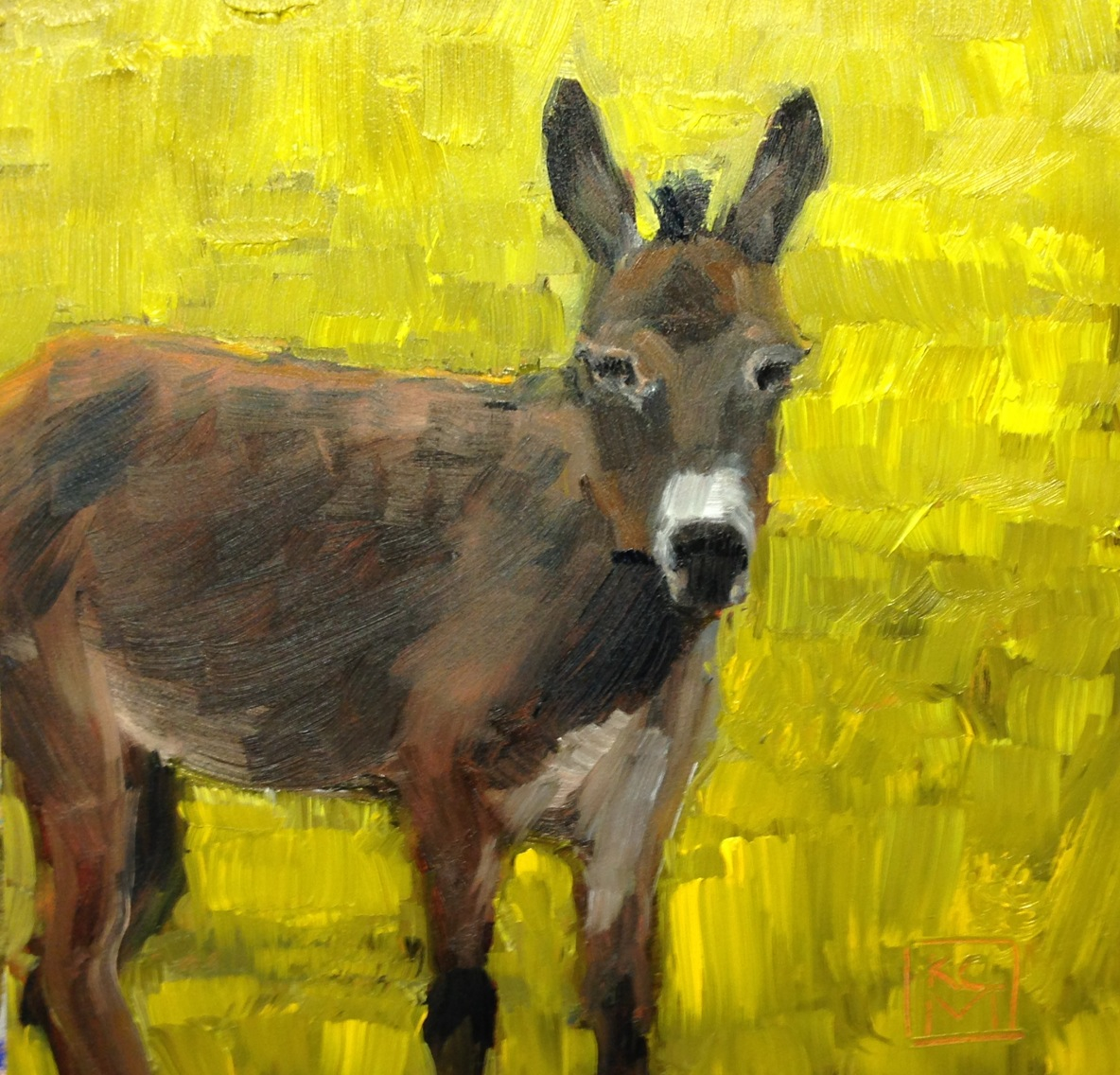 Kelley MacDonald's Paintings Burro, 6x6 Inch Oil Painting by Kelley
