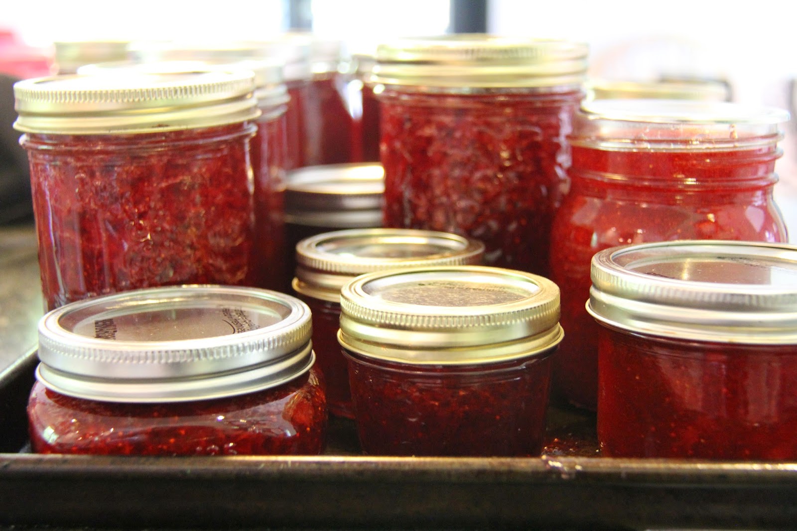 dirt digging sisters Strawberry Jamming